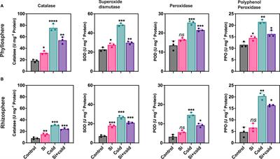 The silicon regulates microbiome diversity and plant defenses during cold stress in Glycine max L.